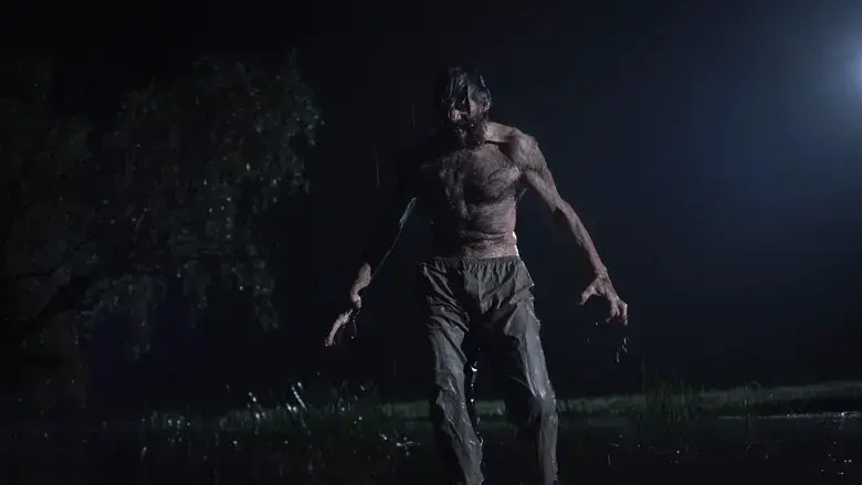 Wer (2013)