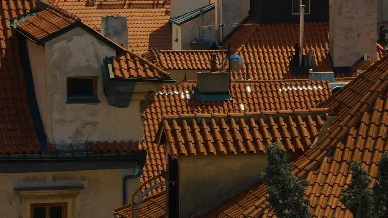 Of Birds and Roofs (2024)