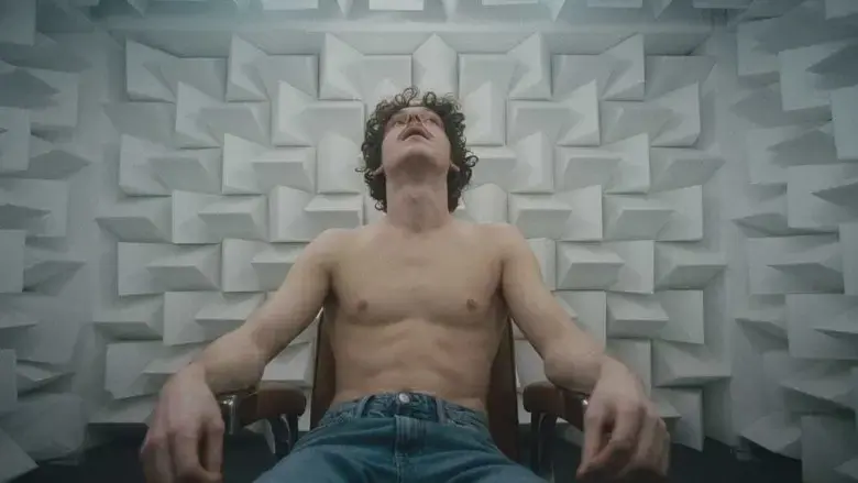 Anechoic (2024)