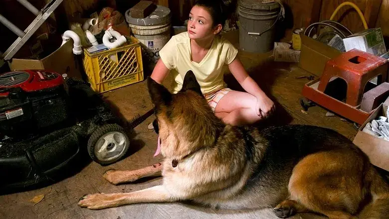 Belong to Us (2018)