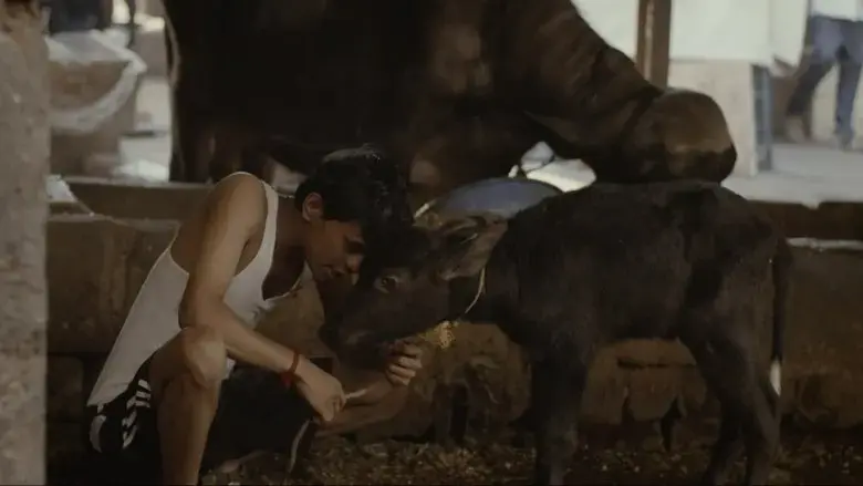 Paanha (2021)