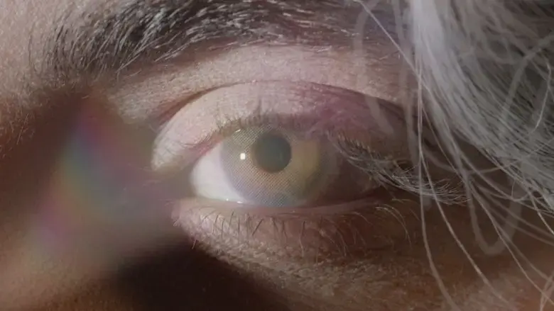 DIES MIRABILIS (2024)