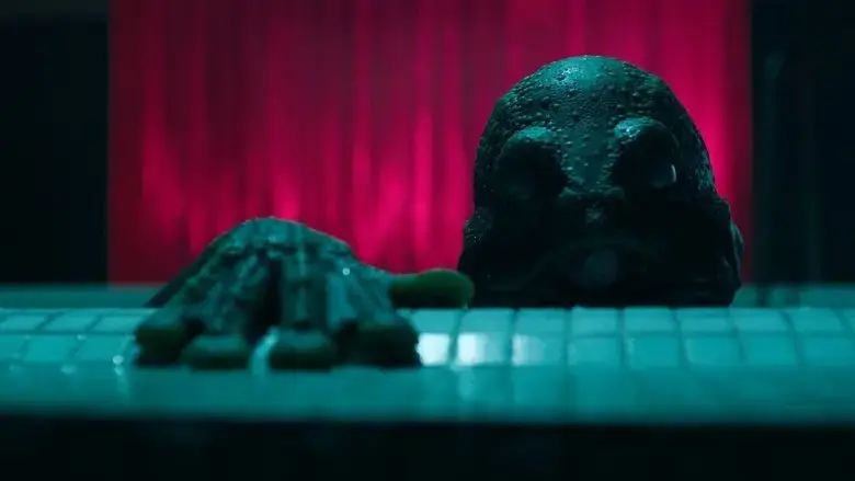 Stranger (2019)