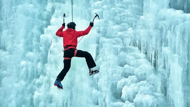 Momentum (2024)