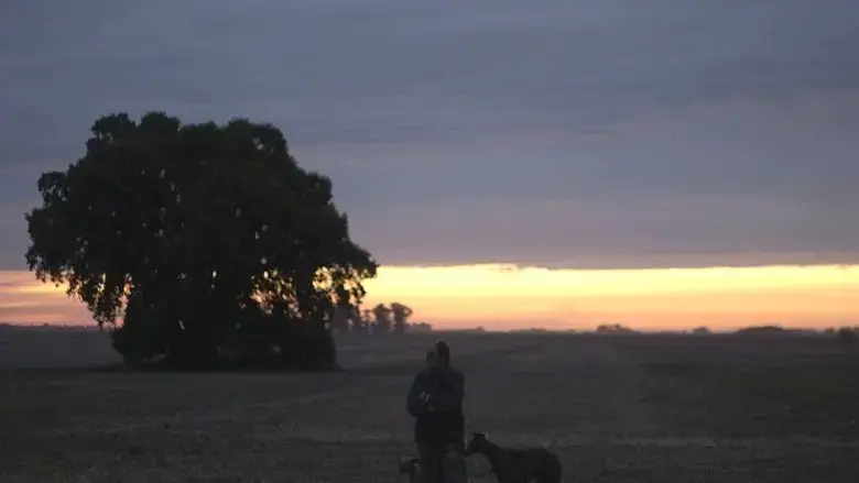 Man on the Plain (2018)
