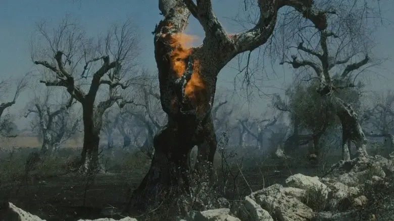 Il Tempo dei Giganti (2023)