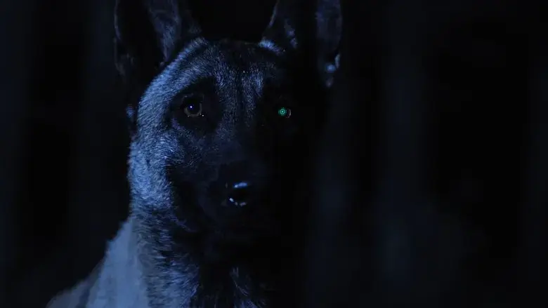 iCon (2019)