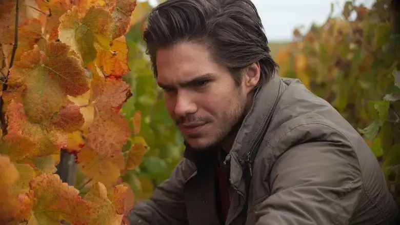 Back to Burgundy (2017)