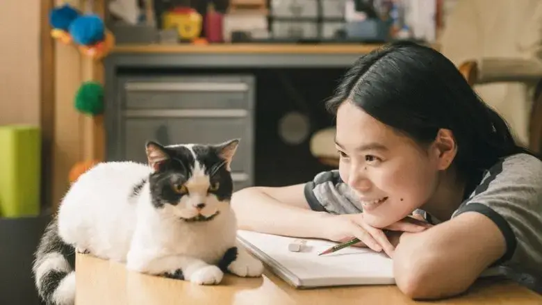 Neko wa Nigeta (2022)