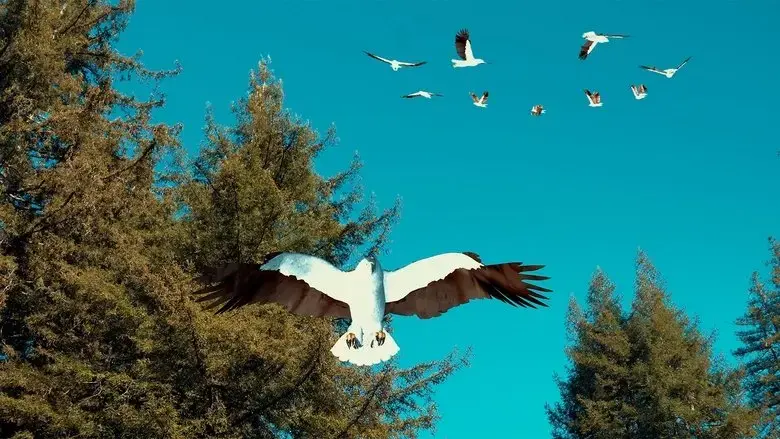 Birdemic 3: Sea Eagle (2022)