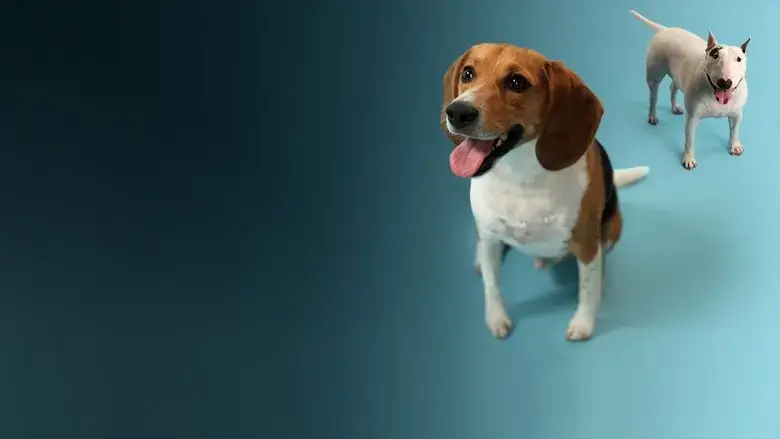 How Dogs Got Their Shapes (2016)