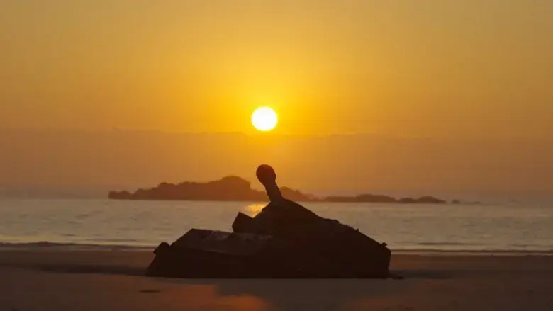 Island in Between (2023)