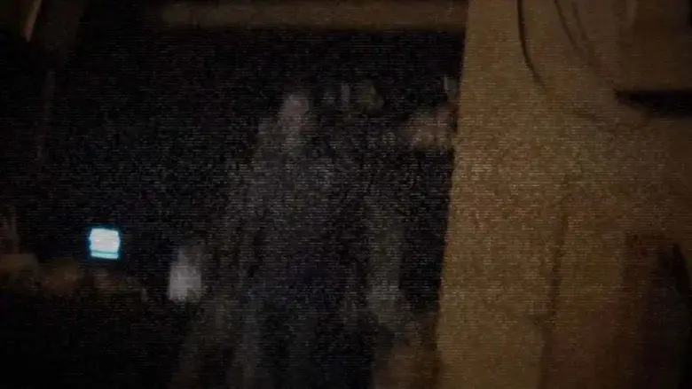 The Coffin Footage (2016)