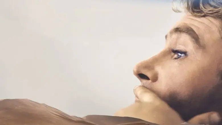 Peter O'Toole: Along the Sky Road to Aqaba (2022)
