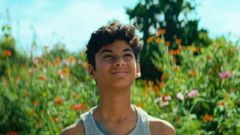 Blue Boy (2024)