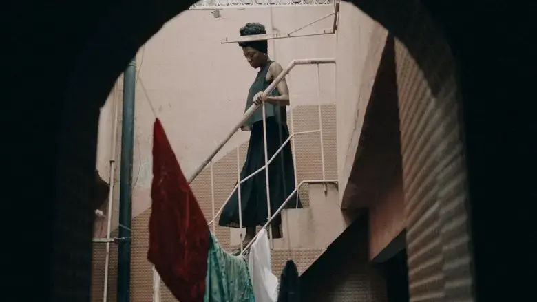 Our Lady of the Chinese Shop (2022)