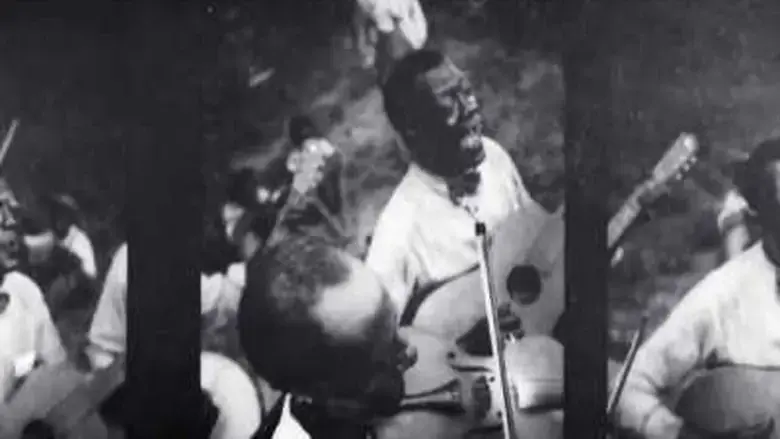 A Walk with Charles Burnett (2019)