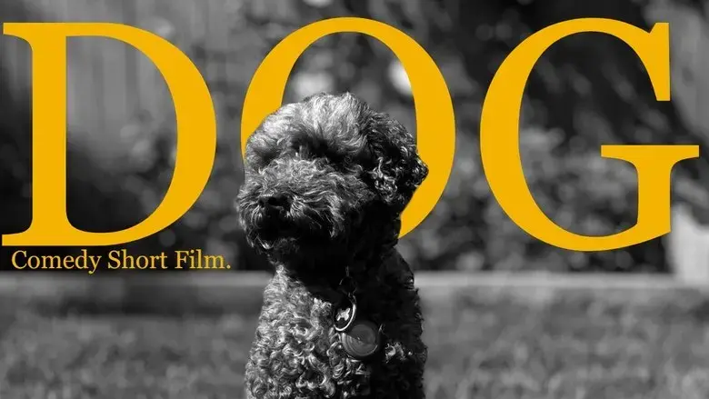 Dog (The Mockumentary) (2024)
