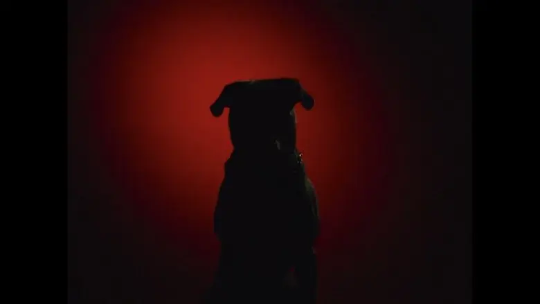 Mauled By a Dog (2024)