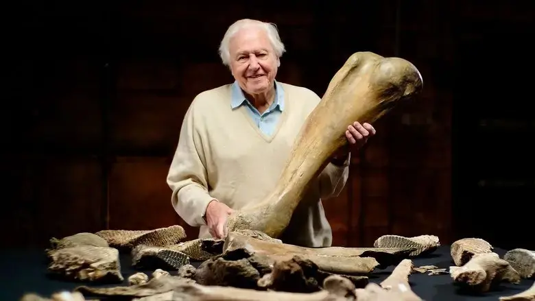 Attenborough and the Mammoth Graveyard (2021)