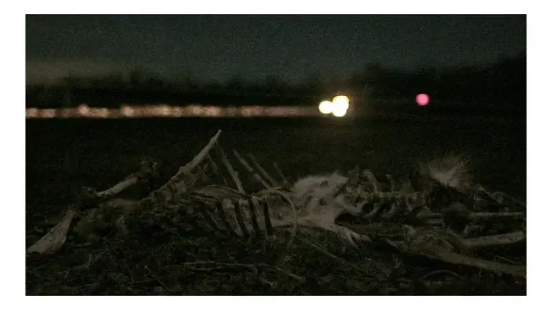 Roadkill (2025)