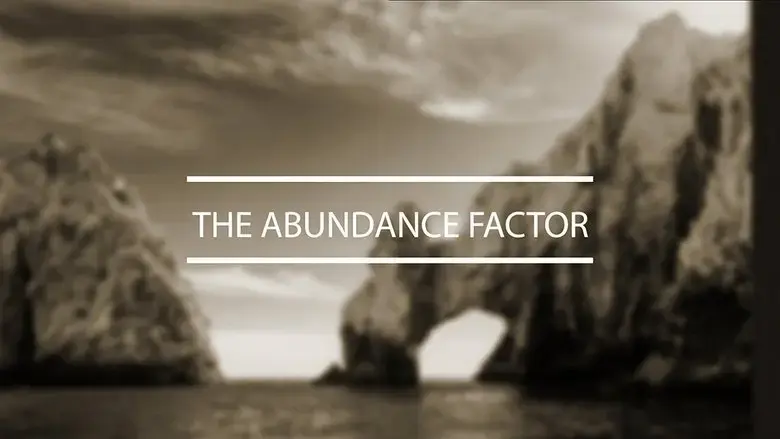 The Abundance Factor (2015)