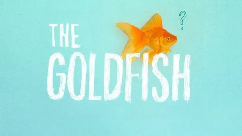The Goldfish (2013)