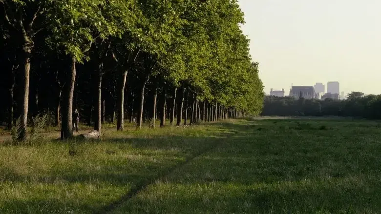 The Woods Dreams Are Made Of (2016)