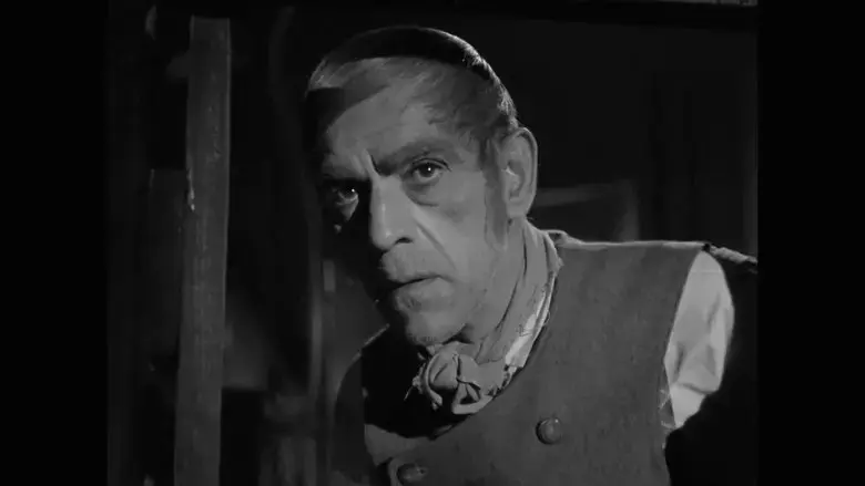 Boris Karloff: The Man Behind the Monster (2021)