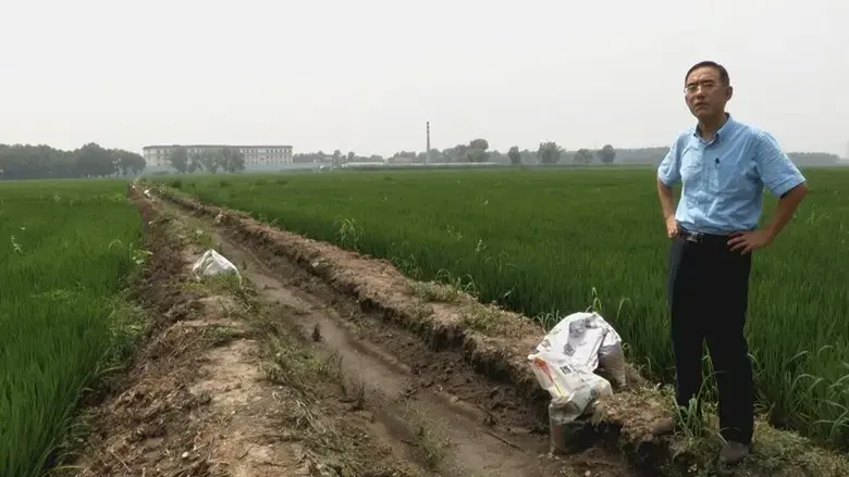 Letter from Masanjia (2019)