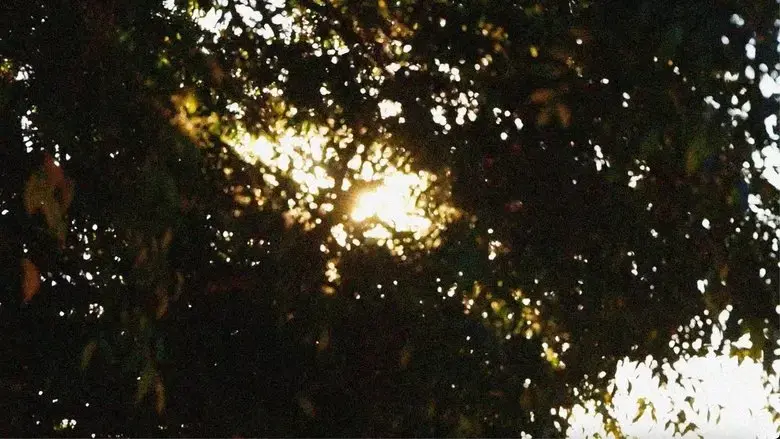 Samudra (2024)