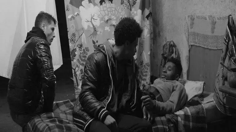 La grande rabbia (2016)