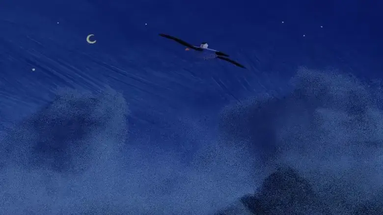 Earth To Albatross (2024)