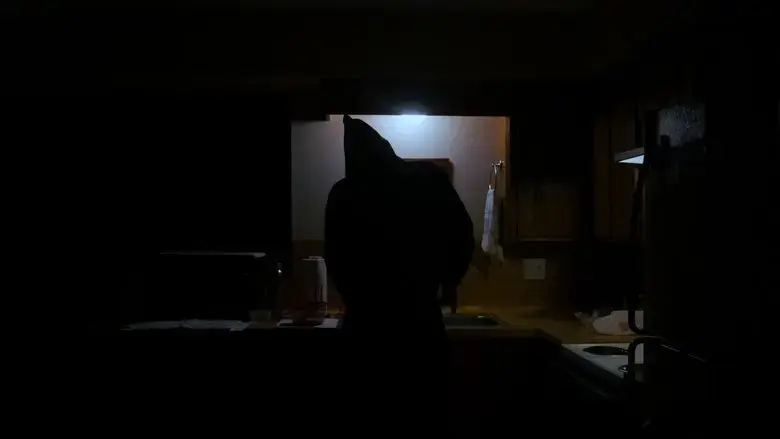 Maid to Kill (2024)