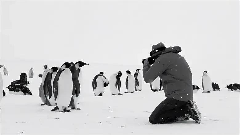 Antarctica Calling (2023)