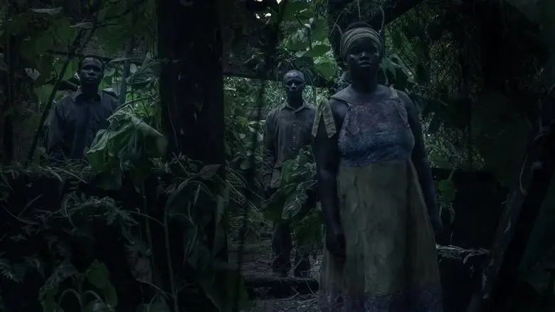 I Saw Three Black Lights (2025)
