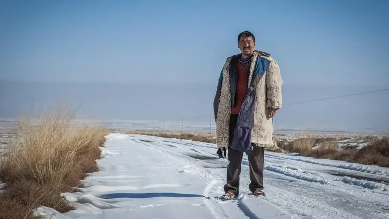 A Fool (2015)
