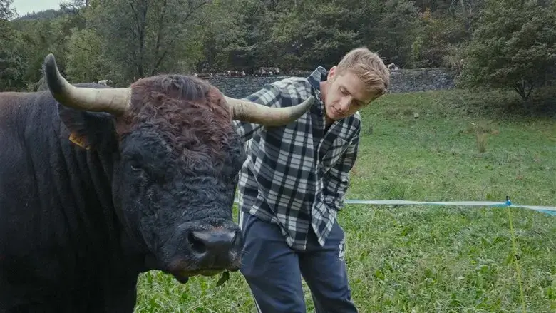 In the valley (2022)