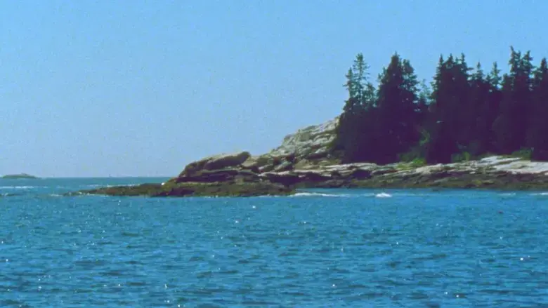 The Seashore (2023)