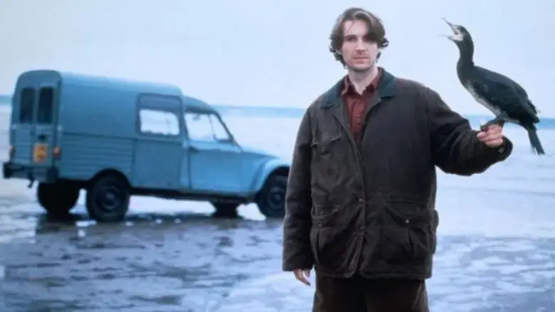 The Cormorant (1993)