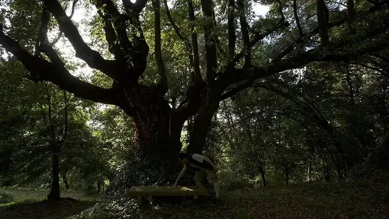 Il dono (2019)