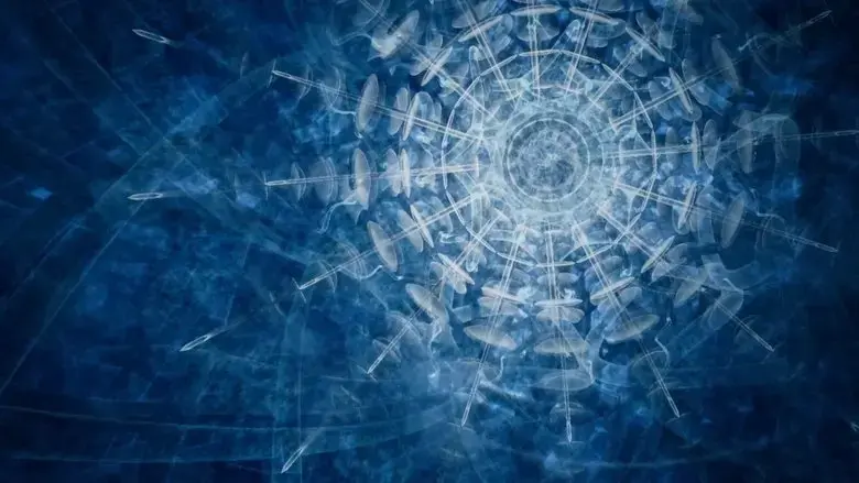 Ayahuasca: Kosmik Journey (2019)