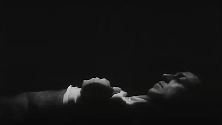 Everynight... Everynight (1995)
