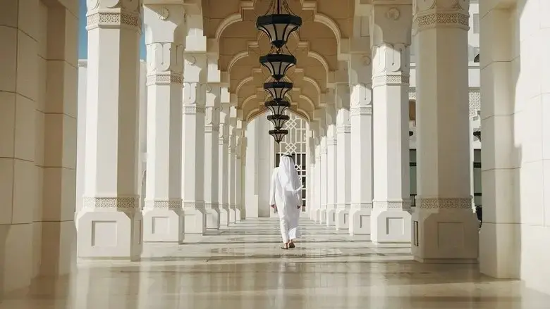 MBZ, la face cachee des Emirats arabes (2022)