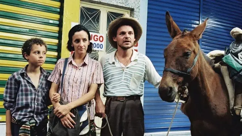 Tapete Vermelho (2005)