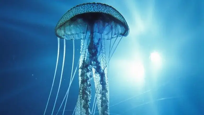 Into the Deep (1994)