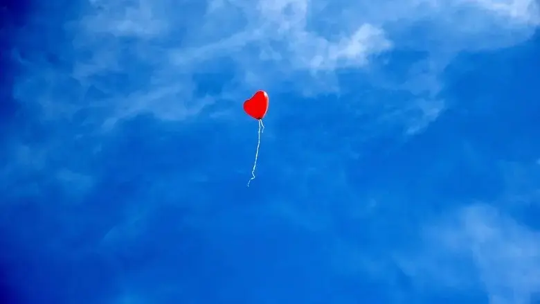 Wunder Liebe: Die Erforschung eines Gefuhls (2019)