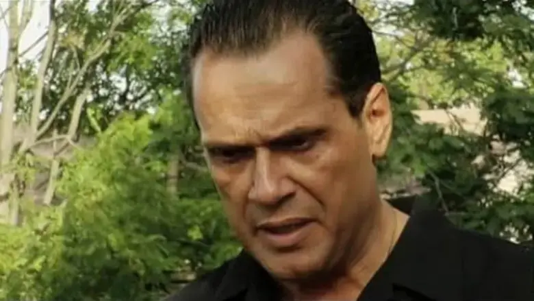 Twists of Fate (2012)