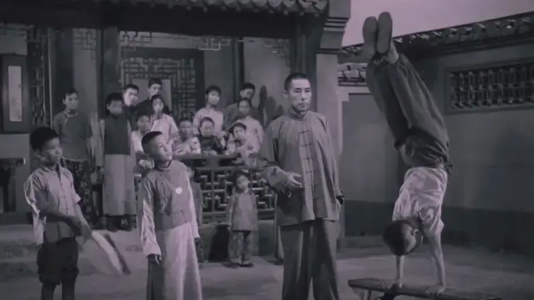 Fei dao Hua (1963)