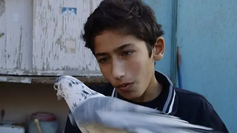 Bird Boy (2019)